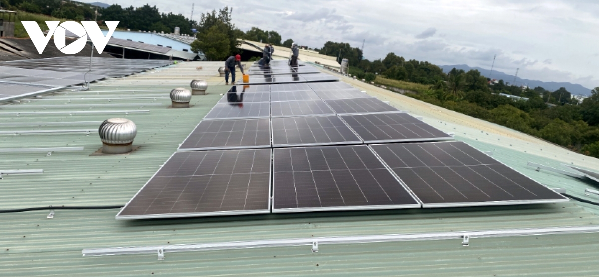 HCM City moves to diversify energy sources amid supply volatility